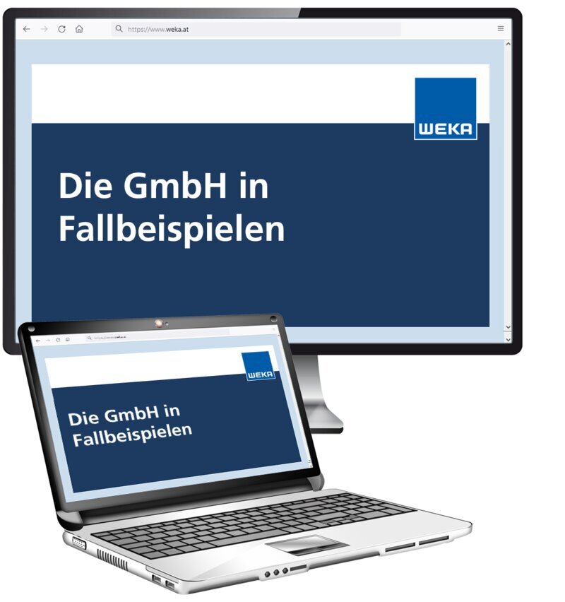 Die GmbH in Fallbeispielen - OnlineBuch
